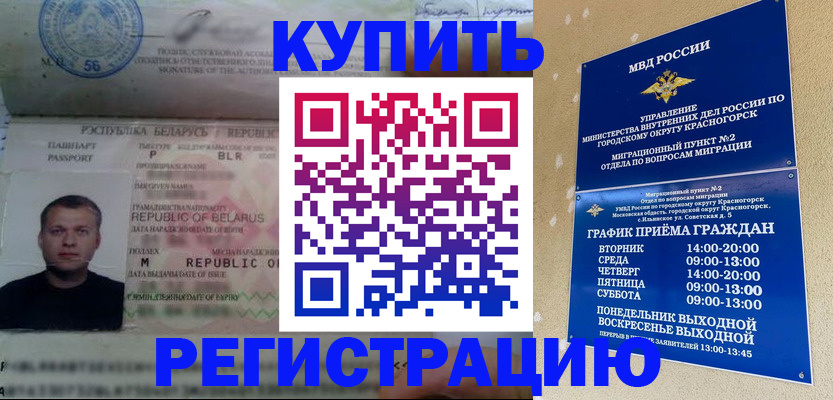 прописка законно в Курганинске